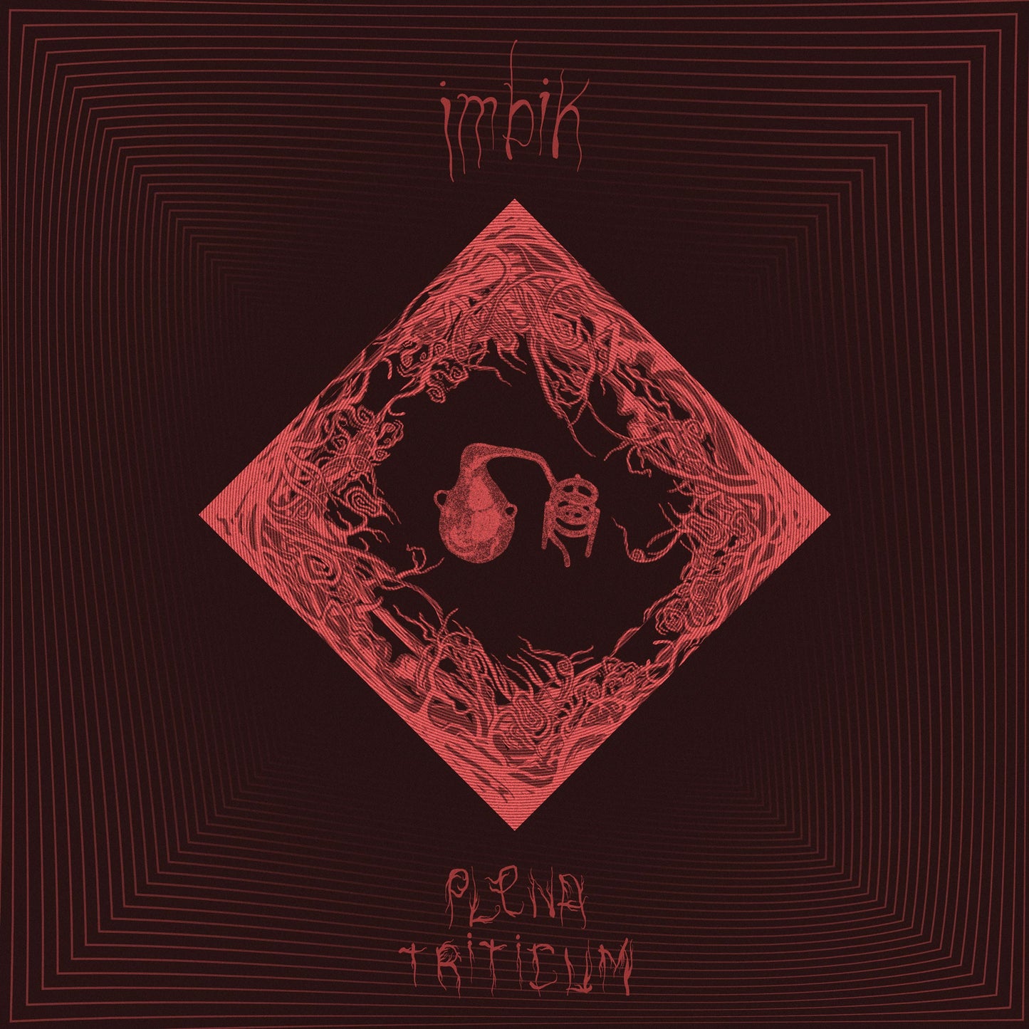 imbik by Plena Triticum - Labyrinthine Crew