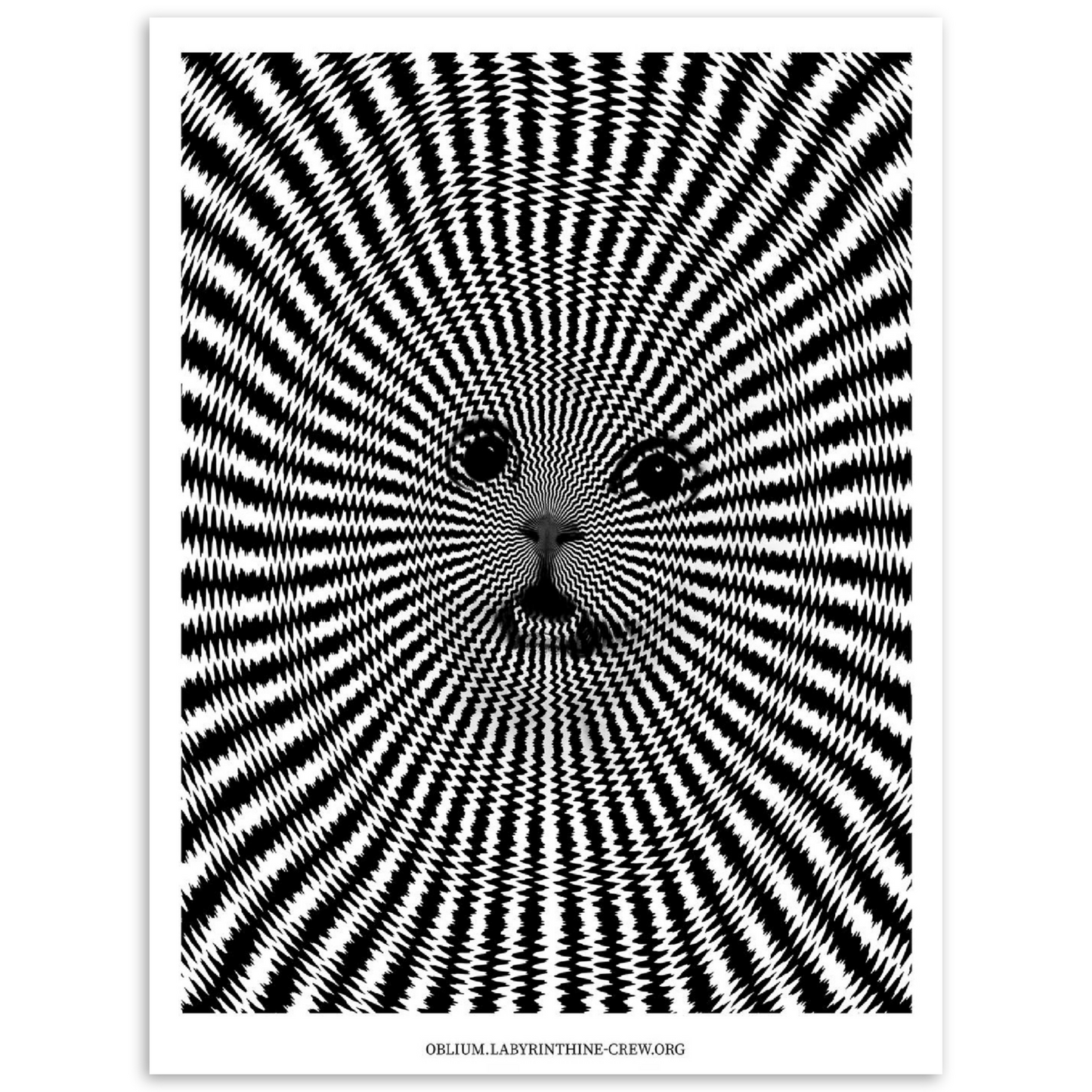 Ipnocat (Print)