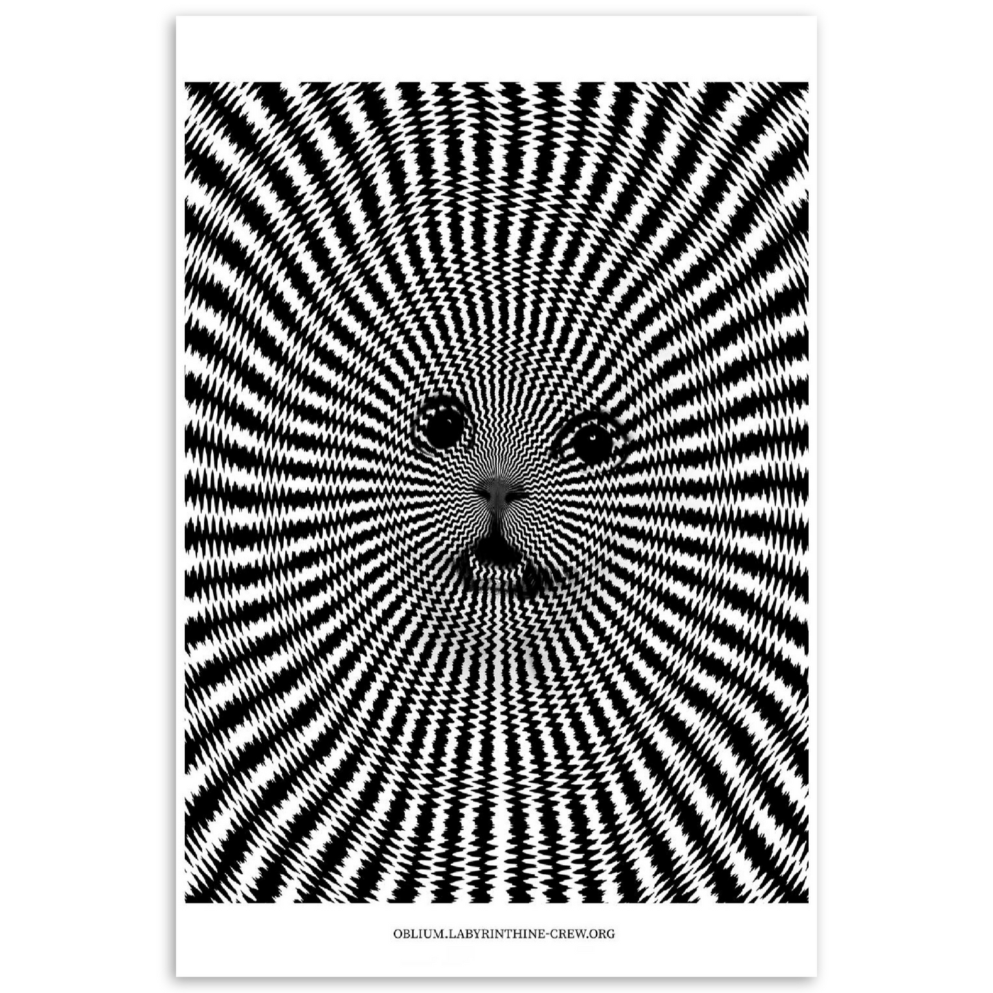 Ipnocat (Print)