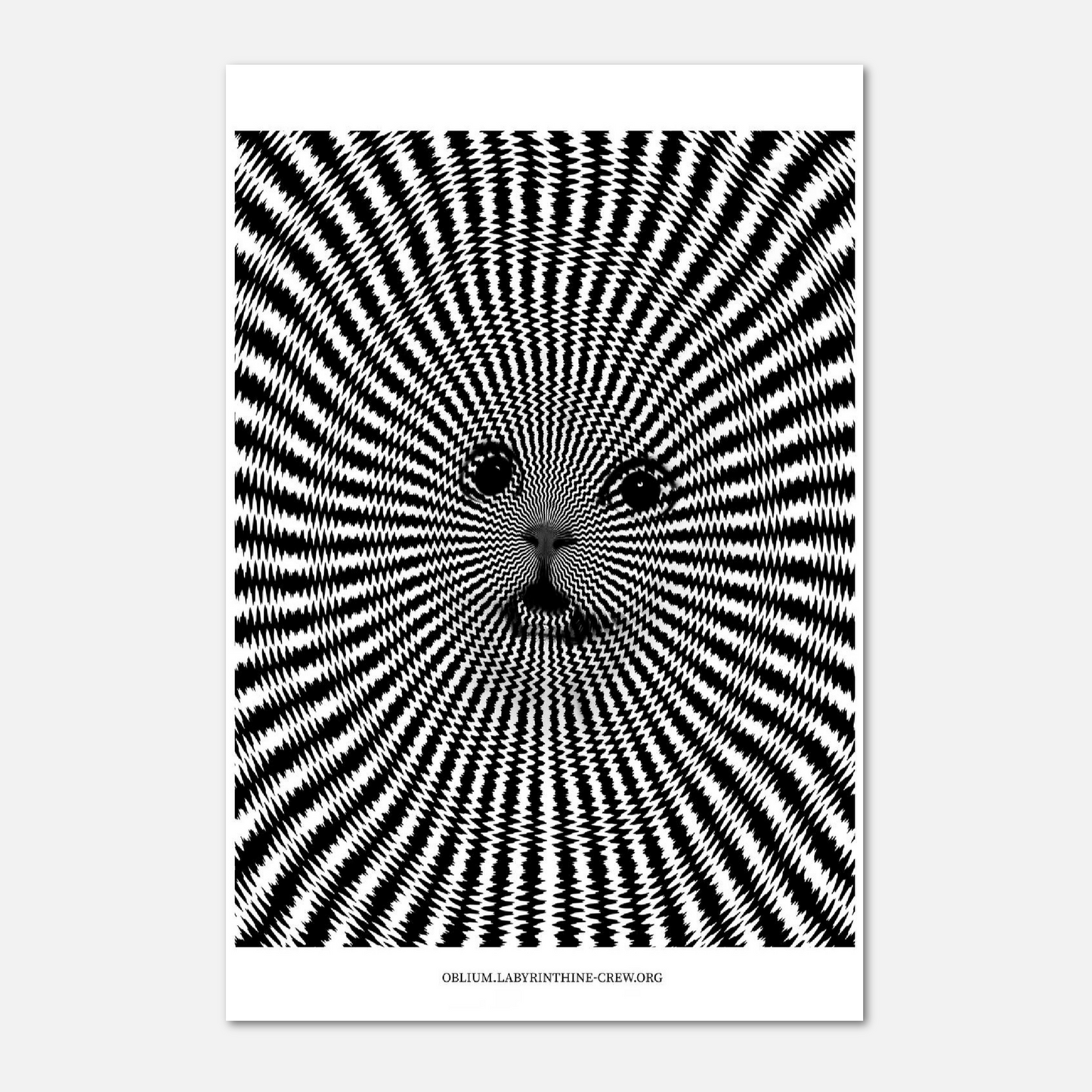 Ipnocat (Print)