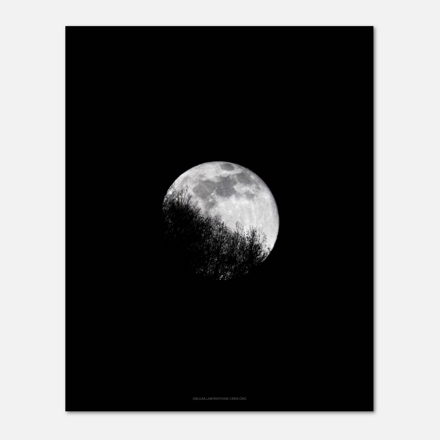 The Last Full Moon 2020 (Print)