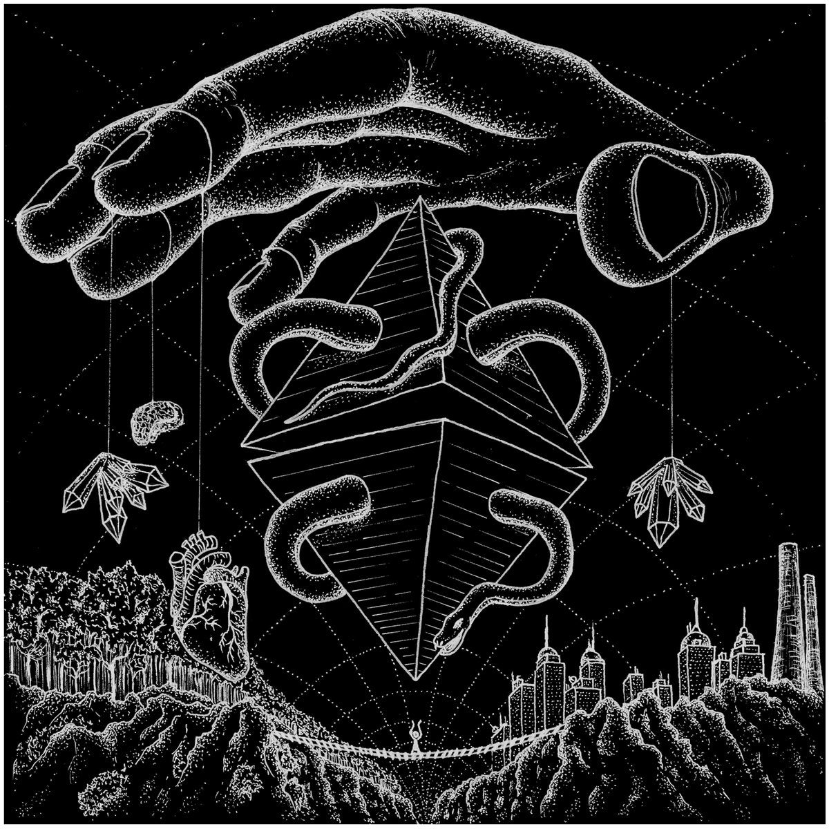 Strippo - Cellolive