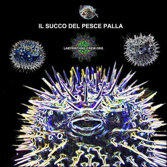 Il Succo Del Pesce Palla - Dawood & Oblium