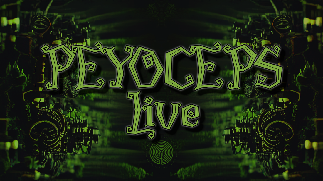 Peyoceps Live at Cosmic Pacha 2021 - Brazil