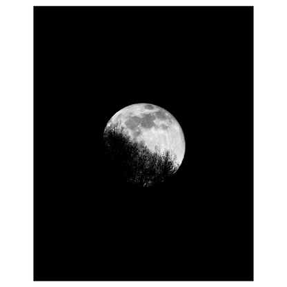 The Last Full Moon 2020 (Print)
