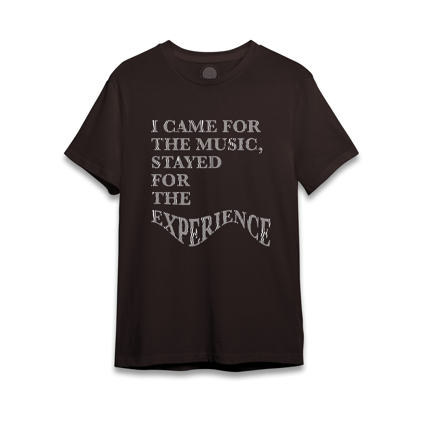 I Came For The Music, Stayed For The Experience - T-Shirt