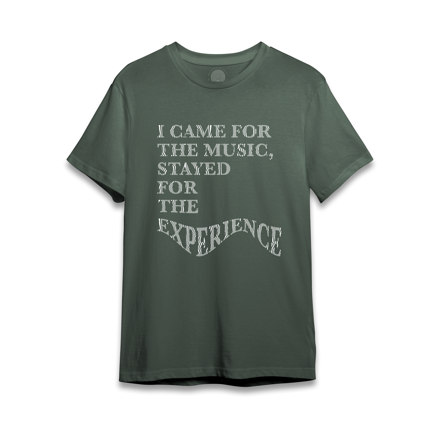 I Came For The Music, Stayed For The Experience - T-Shirt