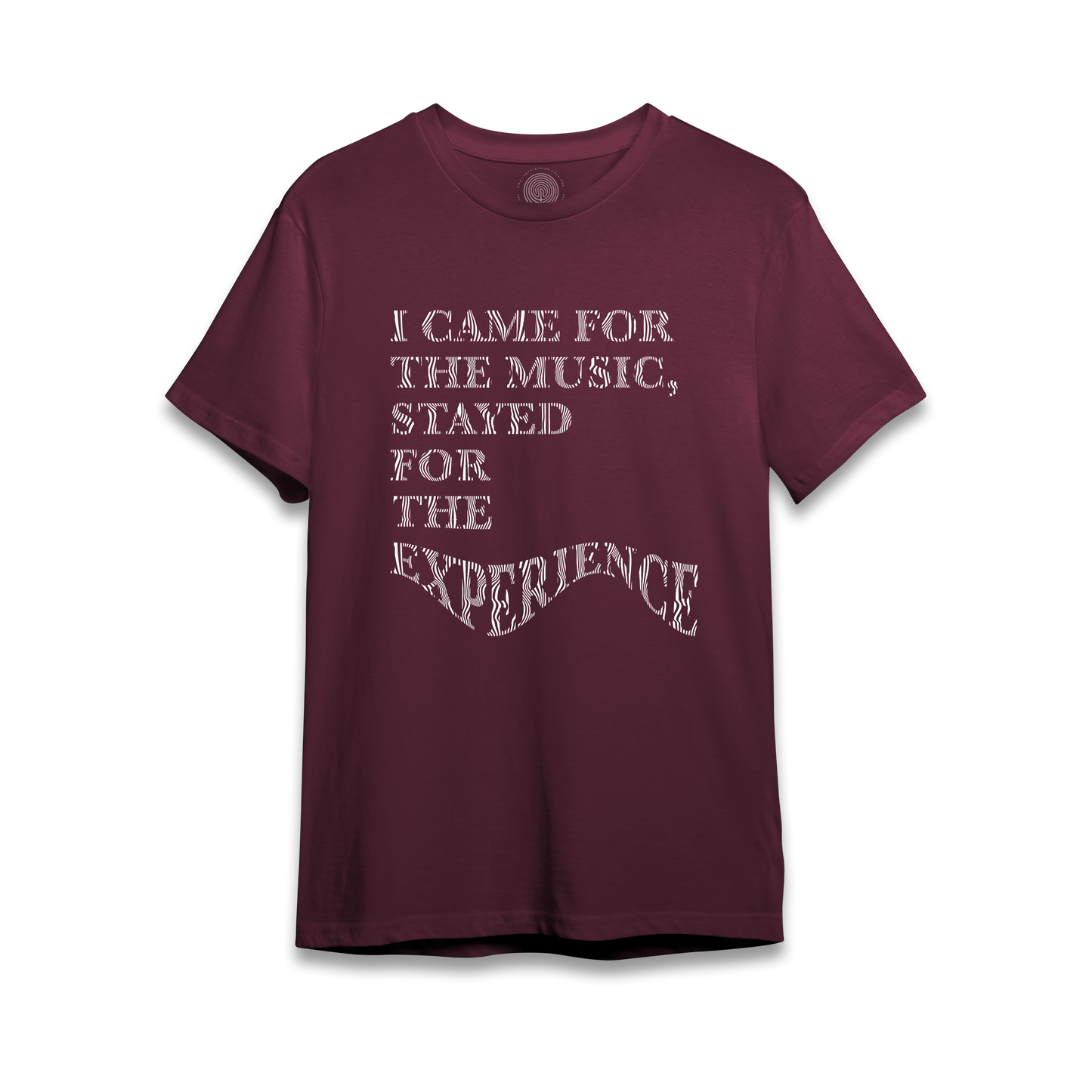 I Came For The Music, Stayed For The Experience - T-Shirt