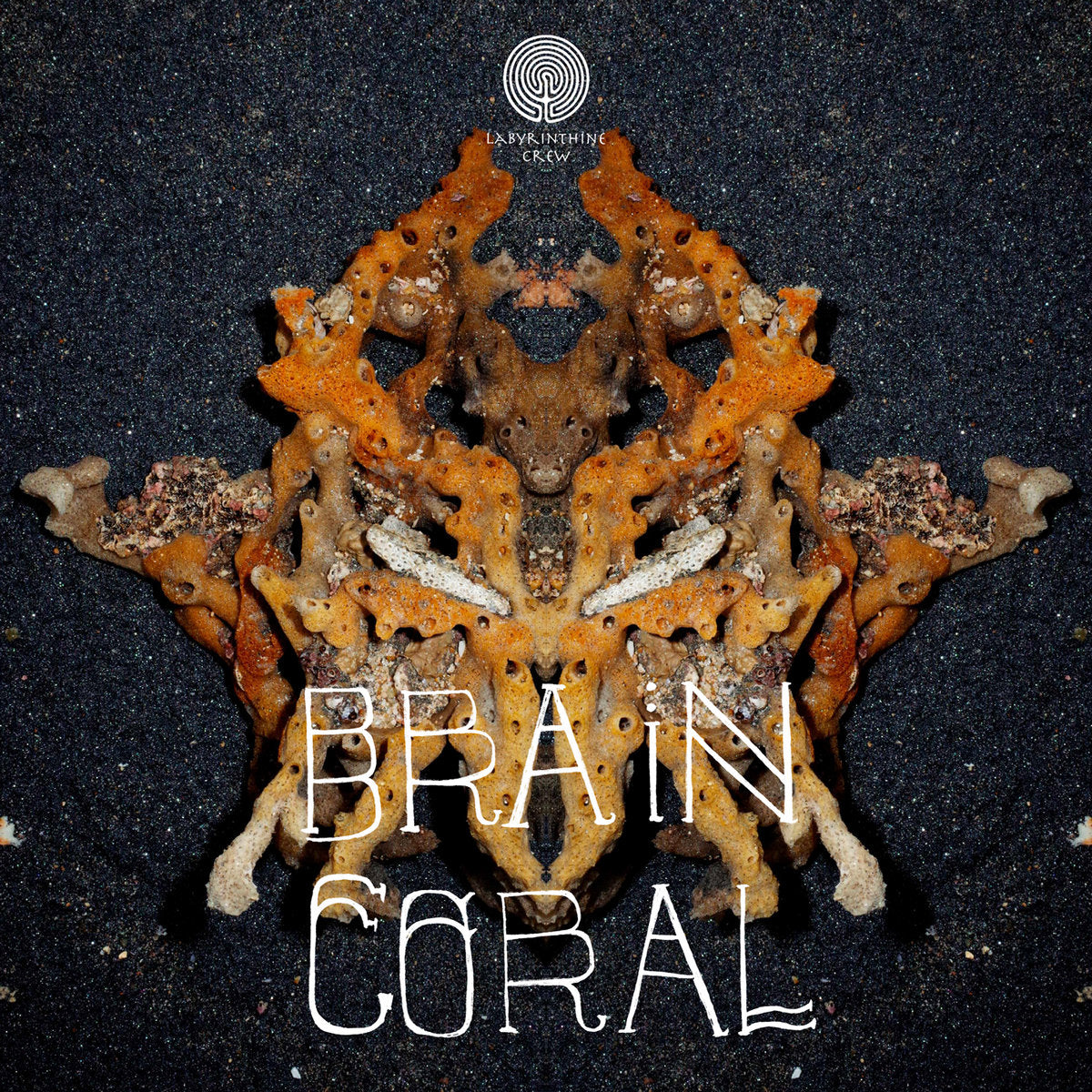 VA - Brain Coral