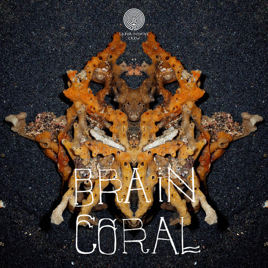 VA - Brain Coral